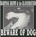 Harpdog Brown - Beware Of Dog - 1992.jpg