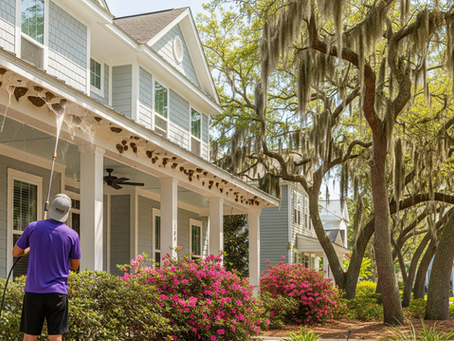 professional spider web removal under eaves Wilmington NC home