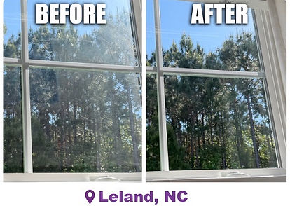 Before and after window cleaning in Brunswick Forest, Leland NC - pine tree view restored through clear interior glass