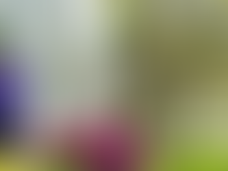 professional window cleaning service Leland NC