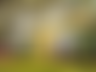 Professional pollen removal from home exterior in Wilmington NC