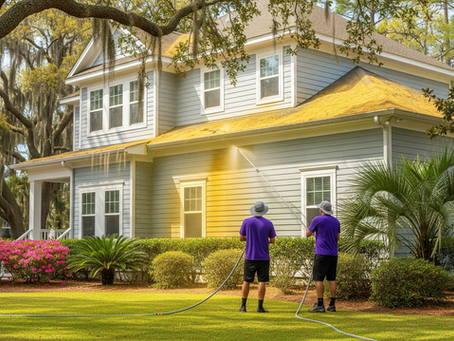 Professional pollen removal from home exterior in Wilmington NC