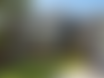 Green algae on vinyl siding and black algae streaks on roof of a Wilmington NC home