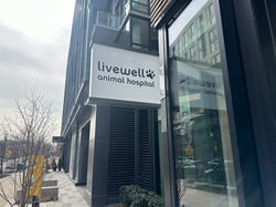 Photo_20250218_115501