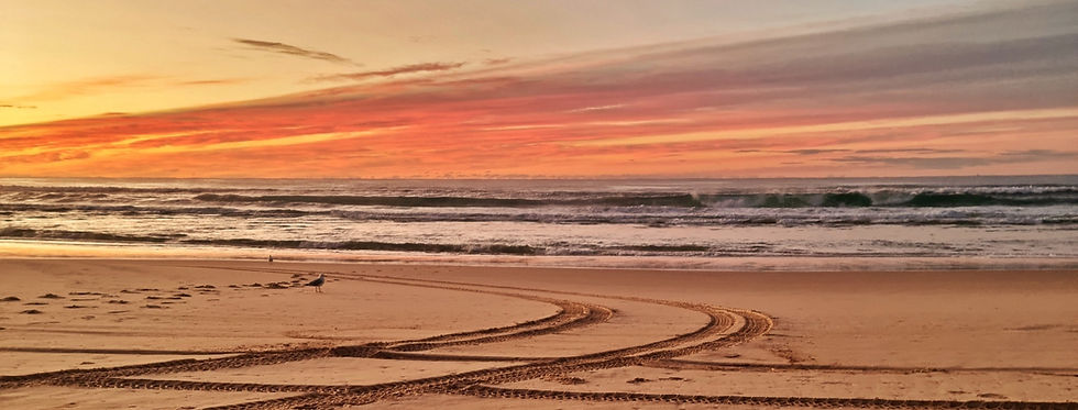 Beach Sunrise