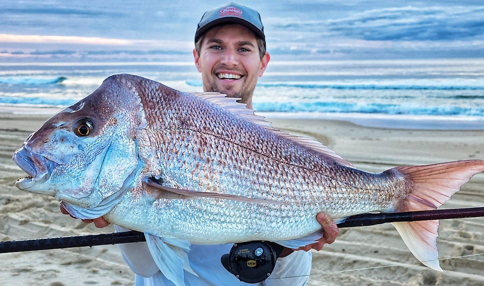 Big Beach Snapper