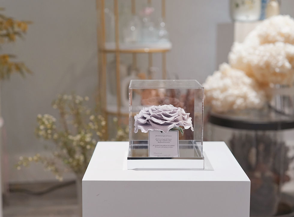 Thumbnail: Preserved Giant Rose