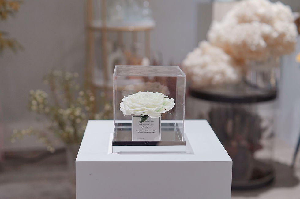 Thumbnail: Preserved Giant Rose