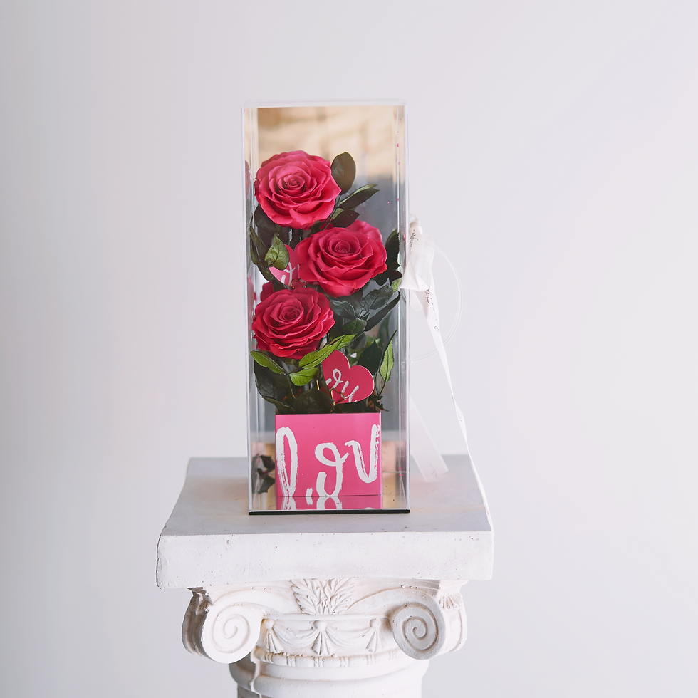Miniature : Eternal Elegance Roses
