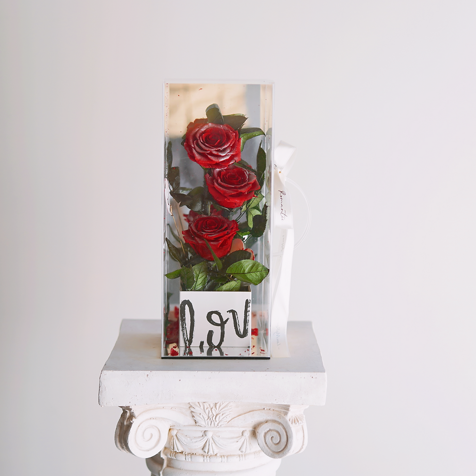 Miniature : Eternal Elegance Roses