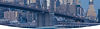 Banner image_04.jpg