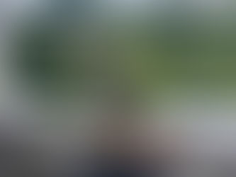 Pflegetip für Prunus spinosa Bonsai.