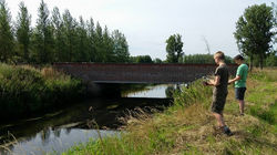 11754947_840575462705055_5959669573019578611_n