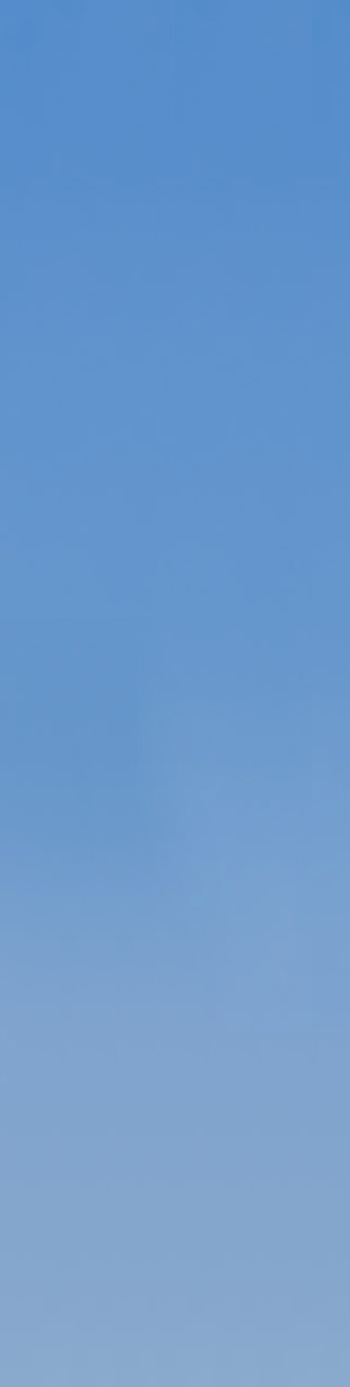 8.gif