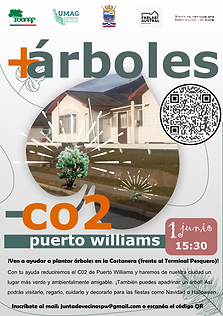 Tree plantation campaign in Puerto Williams