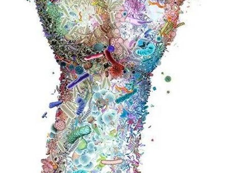 Descubriendo el microbioma de la piel: tan único como nuestro ADN