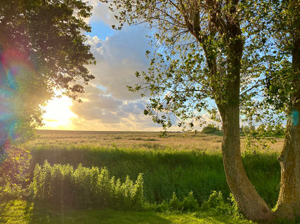 Urlaub Büsum Nordsee