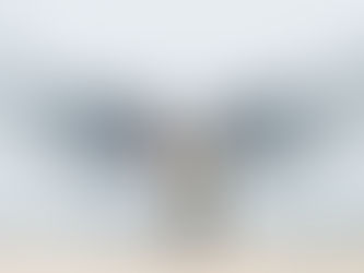 CAPTURING CHEYENNE: SENIOR PHOTOS THAT SHOWCASE YOUR LOVE OF MUSIC