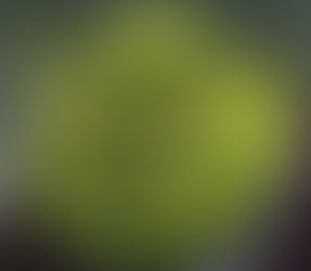 we r the way of shrek