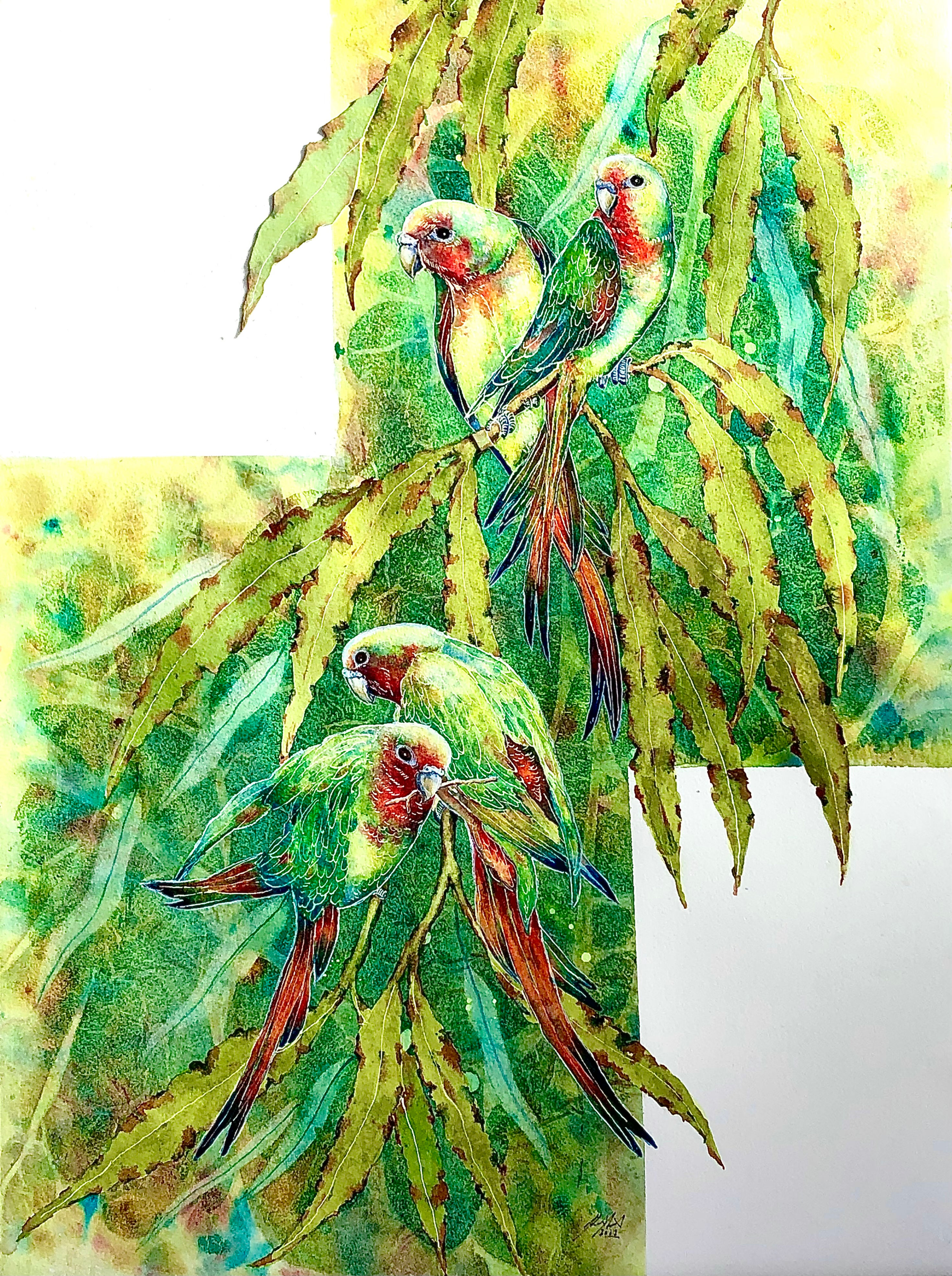 Swift Parrot Original Painting