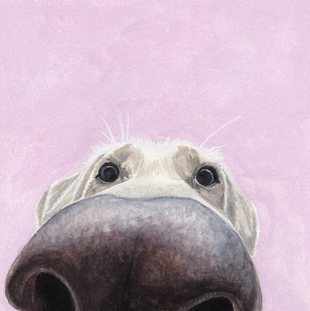 img20230316_153.png