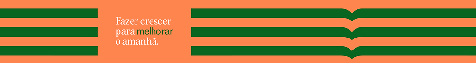 banner-topo-2.png