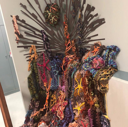 Peacock feathers 2018