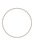 coconutillust.png