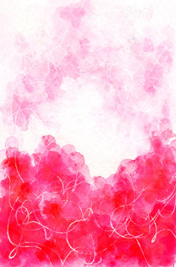 Japanesegirl M（2017）