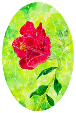 ハイビスカス（2020）