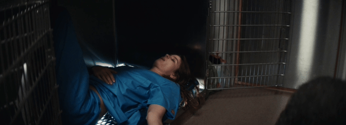 Dec-06-2024 14-53-08.gif