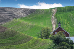 Two Fields