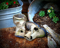 Garden Boots