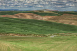 Steptoe Butte