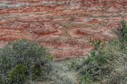 Painted Desert