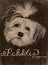 Pebbles.JPG