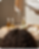 Curly Hair Stylist Dublin