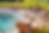79E78E25-7A01-46BC-A020-4883915E627D