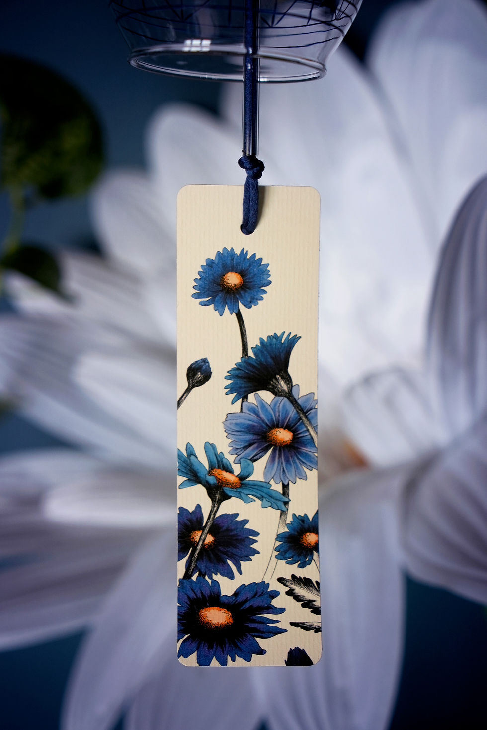 Illustration botanique de bleuets