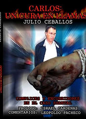 JULIO ALFREDO CEBALLOS ALONSO