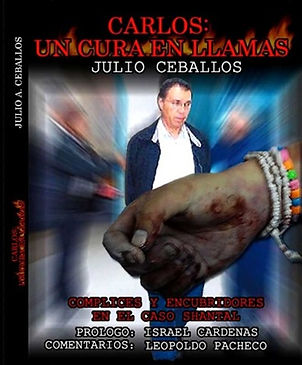 JULIO ALFREDO CEBALLOS ALONSO