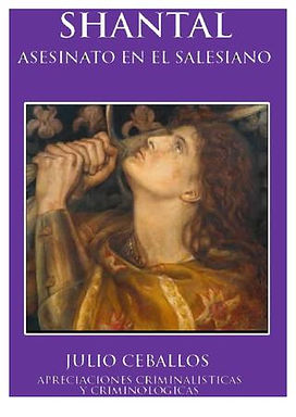 JULIO ALFREDO CEBALLOS ALONSO