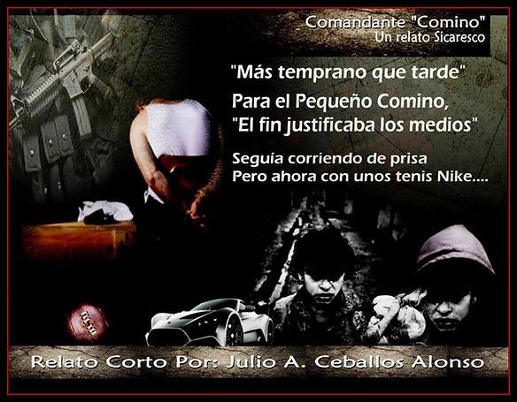 JULIO ALFREDO CEBALLOS ALONSOA