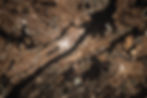 Image by NASA