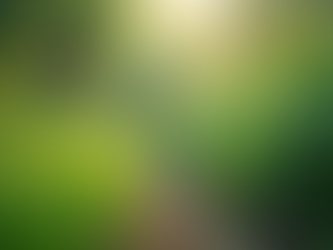 The Importance of Sustainable Living in Today's World