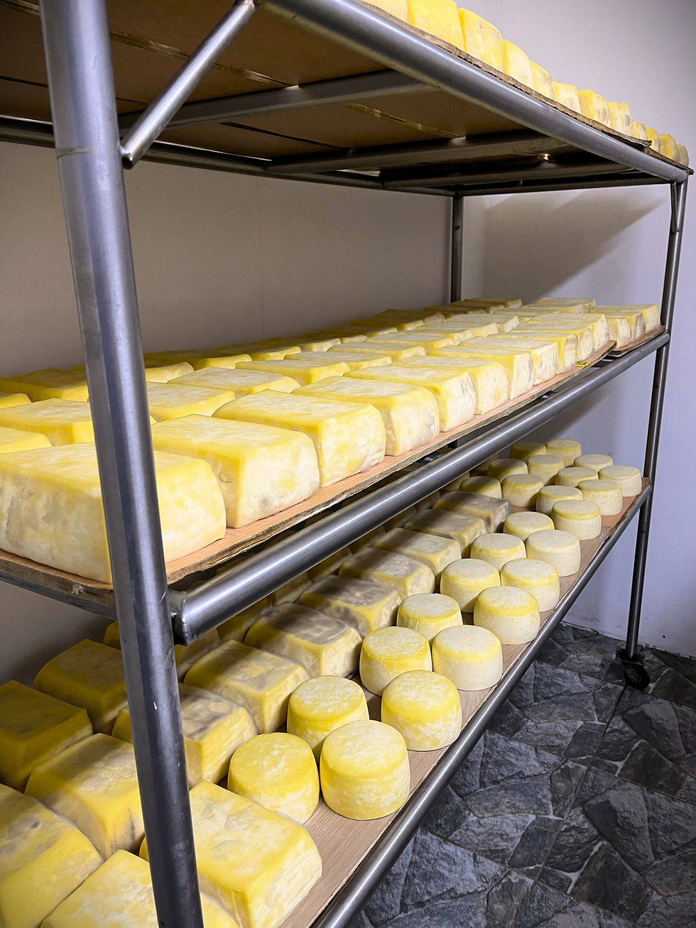 Miniatura: Queso Mantecoso Komuy