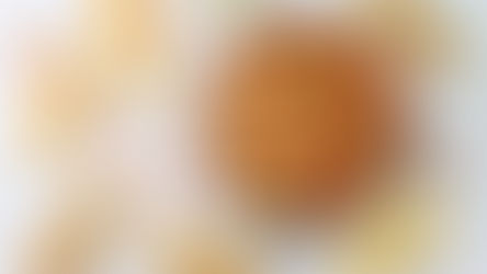 Pet Food in the UAE: A Growing Market for Healthy, Happy Pets