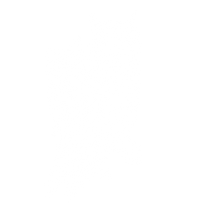 Bird Illustrations_50%_Owl.png