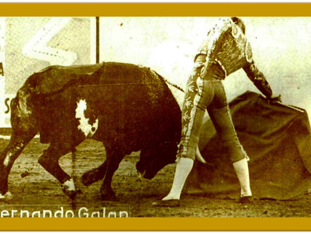 QUE TENDRÁN LAS PLAZAS DE TOROS? …