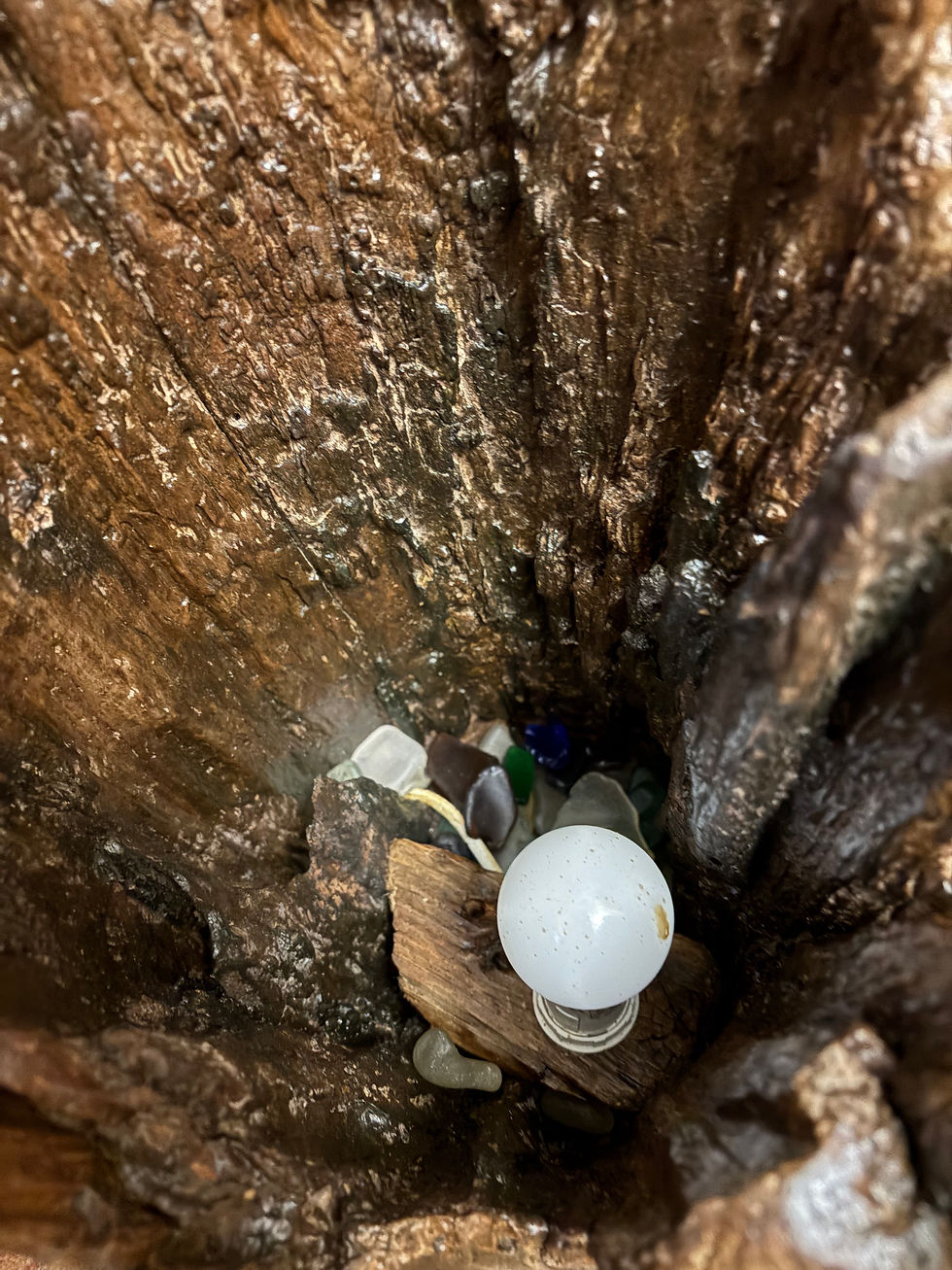 Thumbnail: Driftwood lamp with sea glass storage